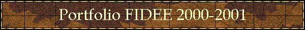 Portfolio FIDEE 2000-2001