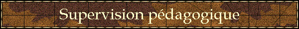 Supervision pdagogique